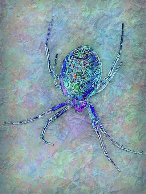 Colorful Spider Painting By Jack Zulli Fine Art America