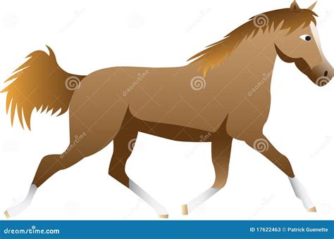 Cartoon Horse Stock Photos Image 17622463