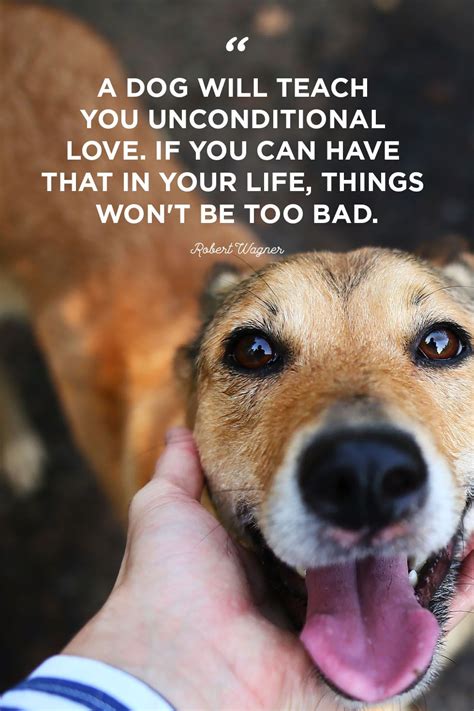 27 Quotes For The Dog Obsessed Laughtard