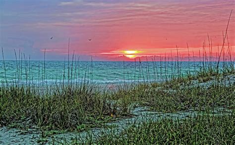 Suncoast Sunset Photograph By Hh Photography Of Florida
