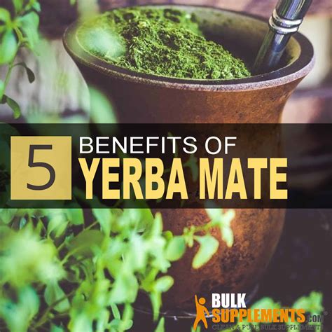 5 Amazing Health Benefits Of Yerba Mate