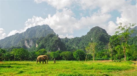 Khao Sok National Park The Oldest Rainforest In The World