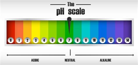 The Ph Scale Diagram 589313 Vector Art At Vecteezy
