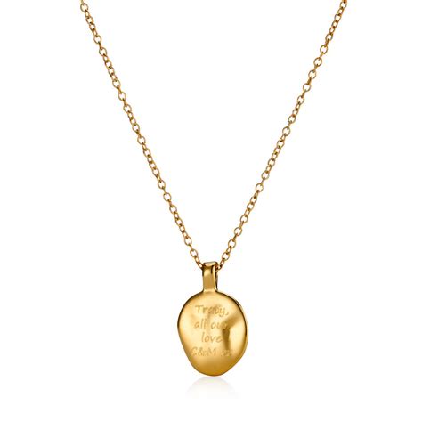 We did not find results for: Women's Gold Vermeil Initial Message Necklace By Under The Rose | notonthehighstreet.com
