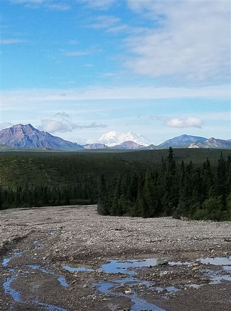 Top 10 Activities To Do In Denali National Park For The Semi