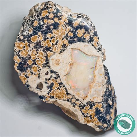 387 In Complete Opal Thunderegg Nodule Idaho Opal Minerals