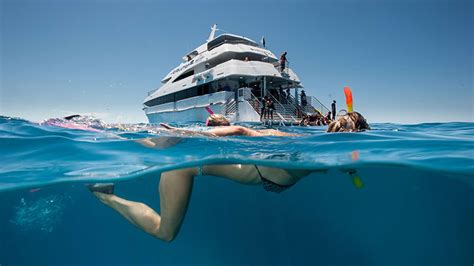 Great Barrier Reef Snorkelling And Intro Dive Cruise Full Day Cairns