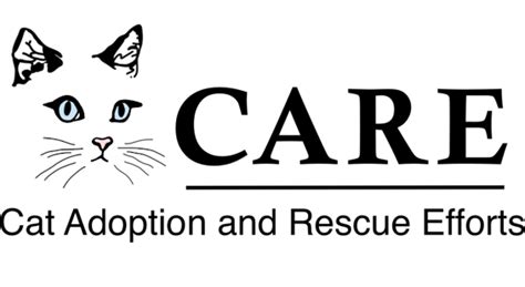 Fancy is up to date on vaccines and spayed. CARE-Cat Adoption Rescue EffortPet Shelter in Richmond VA