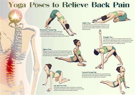 How To Relieve Back Pain Best Yoga Poses Eco Health Lab
