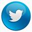 Download Twitter Logo Png Transparent Background  PNG & GIF BASE