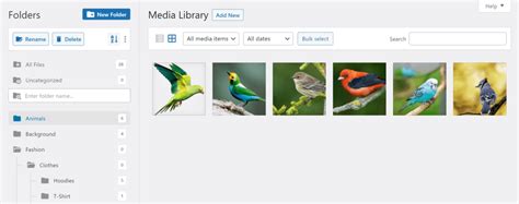 How To Organize Your Wordpress Media Library Better With Filebird