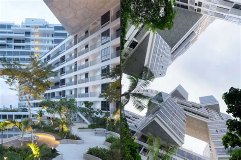 The Interlace By Oma Ctbuh Award 2014 The Strength Of Architecture