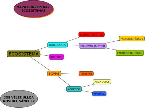 Mapa Conceptual De Los Ecosistemas Mapas Conceptuales