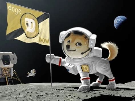 While doge recently bagged massive gains following a viral tiktok video, musk's latest tweet further pumped the price of the altcoin. Elon Musk's dogecoin tweets 'investigated by SEC' | The ...