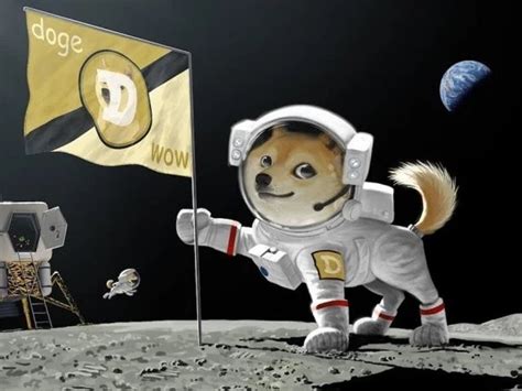 In a tweet he said the commercial space exploration firm will launch the. Elon Musk's dogecoin tweets 'investigated by SEC' | The ...