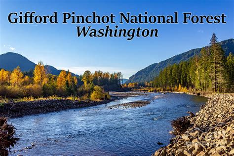 Cispus River In The Ford Pinchot National Forest Washington State