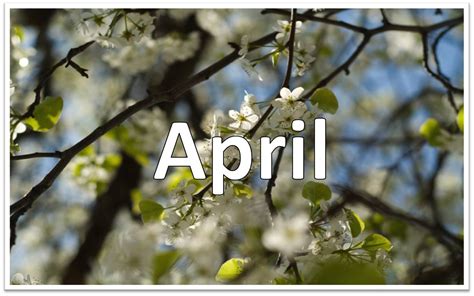 April Calendar Of Events