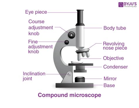 Types Of Microscopes Definition Working Principle Diagram