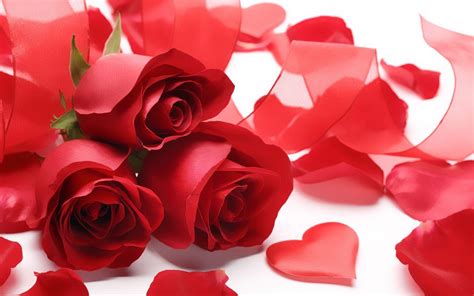 Red Rose Love Wallpapers Hd Wallpaper Cave