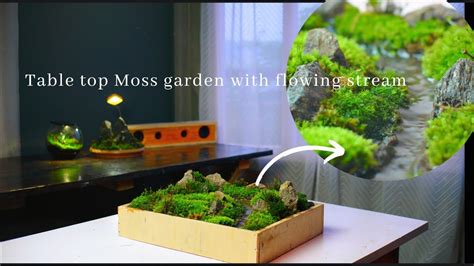 Making A Tabletop Moss Garden With A Flowing Stream Youtube