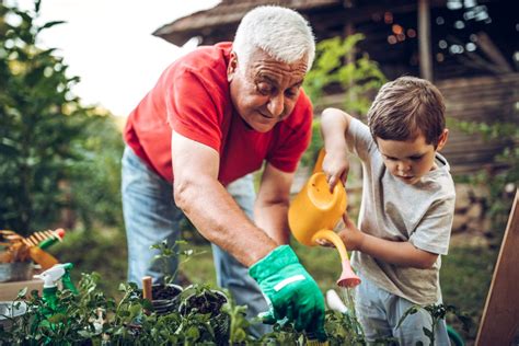 9 Incredible Health Benefits Of Gardening Tips For Beginners