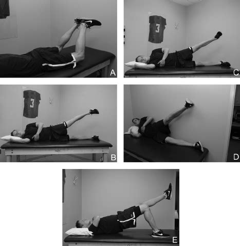 Exercises Recommended For Phase Ii Rehabilitation After Hip
