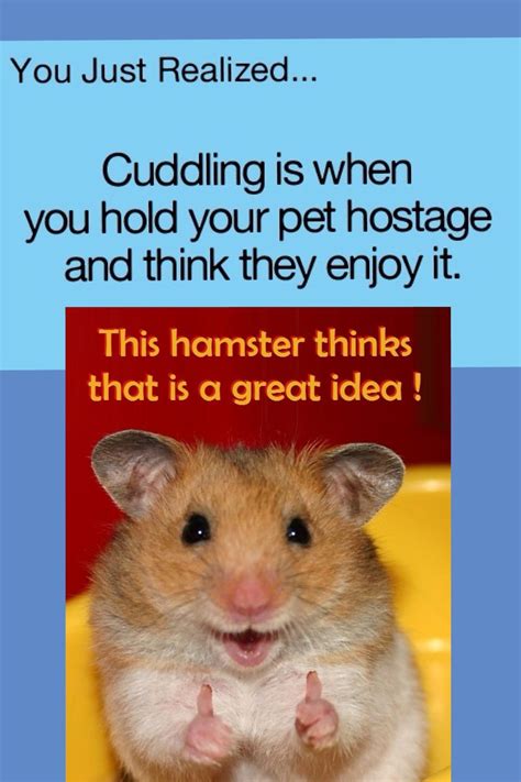 Hamster Says You Just Realized Hamsters False Cuddling