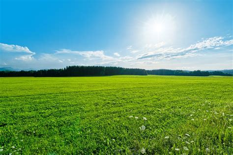 Free Green Field Landscape Stock Photo