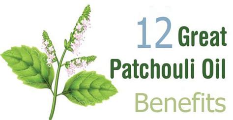 12 Amazing Health Benefits Of Patchouli Essential Oil