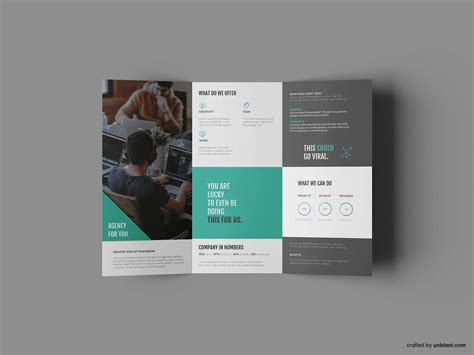 Free Business Trifold Brochure Template Ai