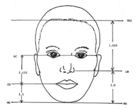 The Divine Proportions Of The Face And The Golden Ratio Download Scientific Diagram