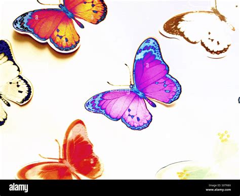 Butterflies Drawings Hi Res Stock Photography And Images Alamy