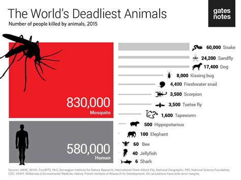 Imagicnation 06 Whats The Deadliest Animal Of The World — Hive