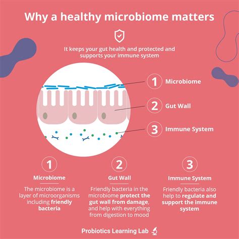All About The Microbiome Probiotics Learning Lab