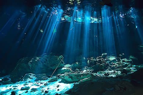 Premium Photo Underwater Cave Stalactites Landscape Cave Diving