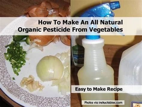 How to make your own pesticide. How To Make An All Natural Organic Pesticide From Vegetables