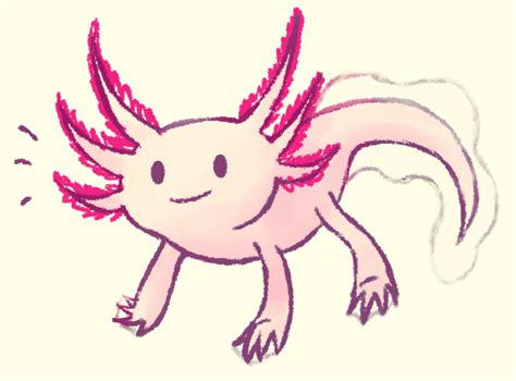 Axolotl Minecraft Drawing Easy The Axolotl Is An Aquatic Cave Animal
