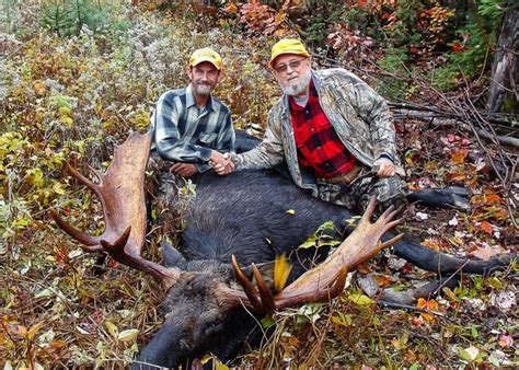 Guided Moose Hunting Trips In Maine Allagash Guide Service