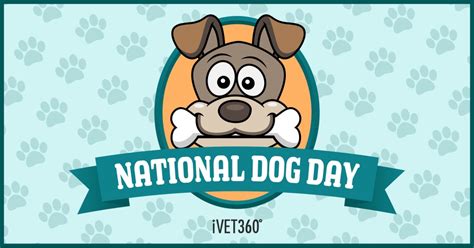 National Dog Day August 26 Ivet360 Social Calendar