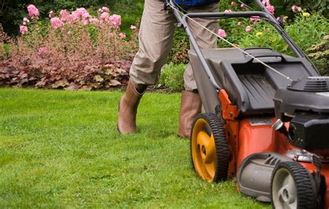 Mowing The Lawn The Ultimate Guide For A Perfect Lawn Greenthumb
