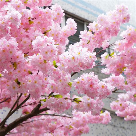 4m Tall Light Pink Fake Cherry Blossom Tree China Hac