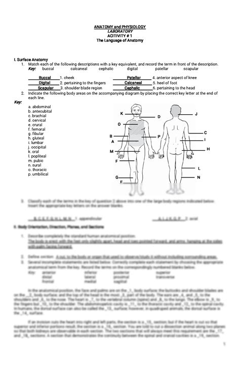 Solution Activity 1 Anatomy And Physiology Lab 1 Studypool
