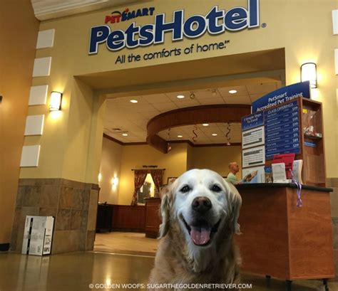 I opened the first bag later that night and when my boyfriend he said he has had customers bring the same exact brand in with the same complaint before. Celebrate National Ice Cream Day at PetSmart's PetsHotel ...