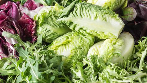 19 Types Of Lettuce For Salads Sandwiches And Beyond