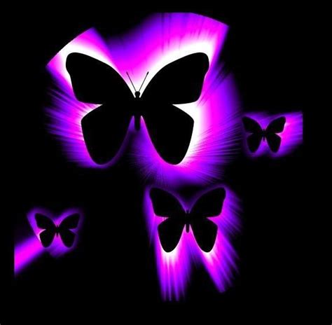 Neon Butterfly Wallpaper Wallpapersafari