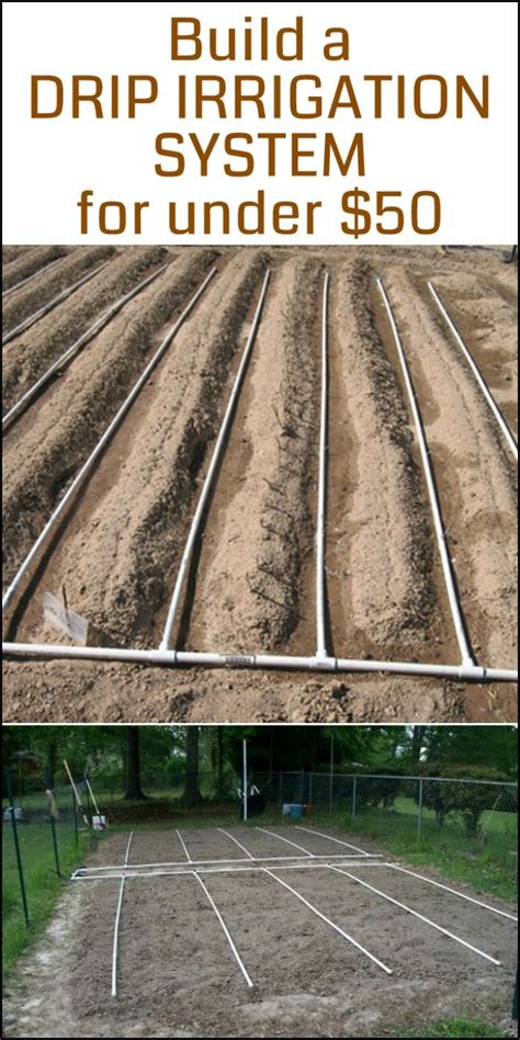 Designing Drip Irrigation System Vegetable Garden