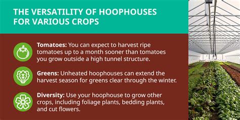 Why A Hoophouse Is Right For You Nifty Hoops