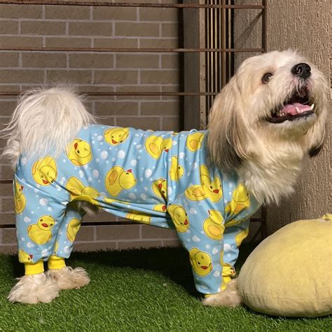 Buy Pets Clothes And Raincoats Online From Doxster Lab Lbb