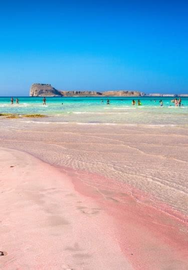 10 Gorgeous Pink Sand Beaches Around The World Celebrity Cruises