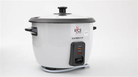 Incredible Cup Rice Cooker For Storables